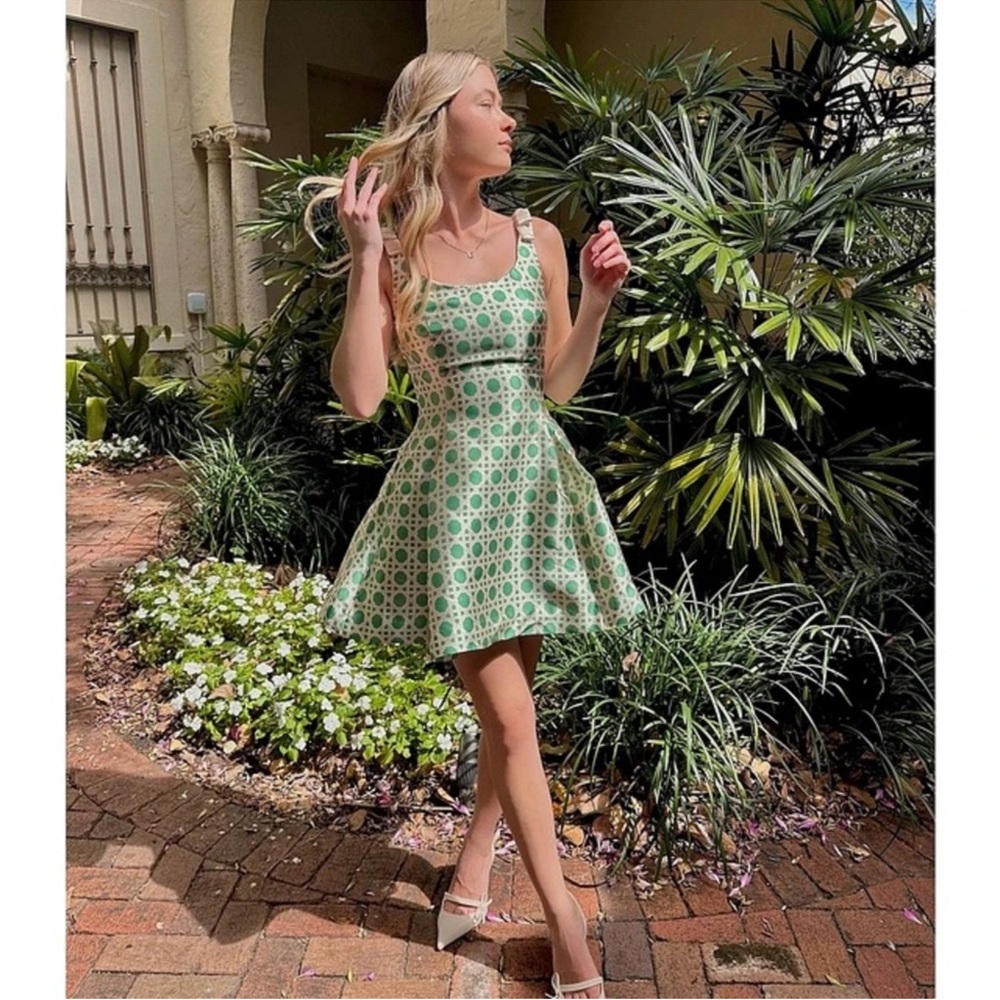 NWT Mestiza Sleeveless Green Patterned Mini Dress - Picture 7 of 12